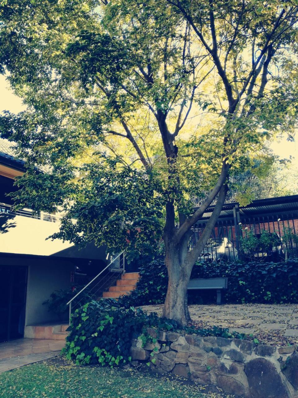 Belmont Guesthouse Bloemfontein Ngoại thất bức ảnh