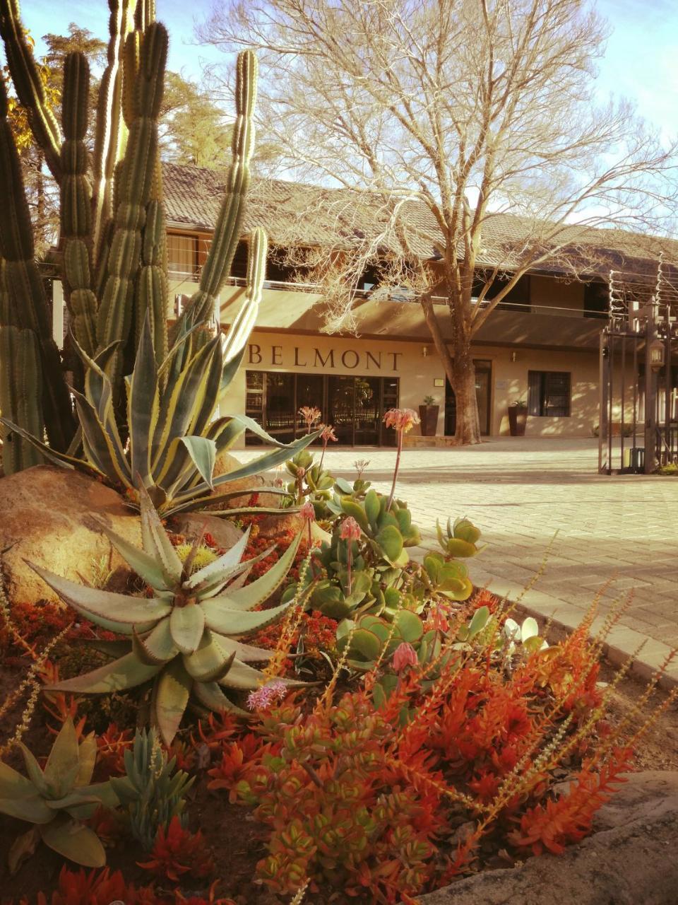 Belmont Guesthouse Bloemfontein Ngoại thất bức ảnh